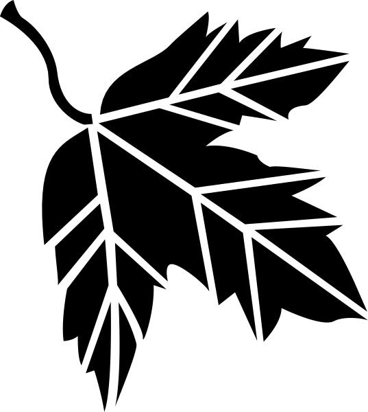 The image shows a black square with white lines creating an abstract pattern against a gray background.
