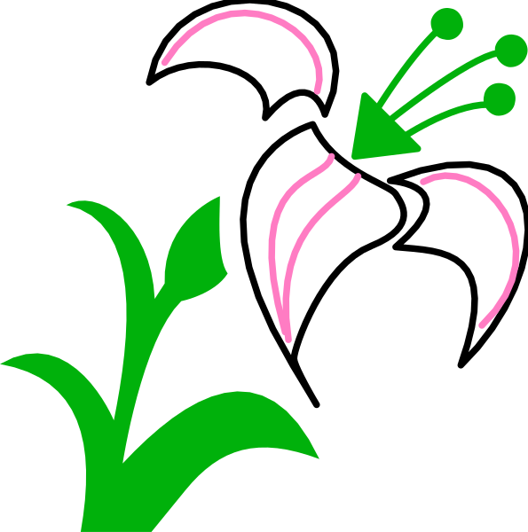 The image shows a black background with white silhouettes of flowers featuring pink centers atop green stems that have leaves on them; there is also an arrow pointing to one flower from another direction indicating growth or development, and it appears as if two different types of plants coexist in the same space.