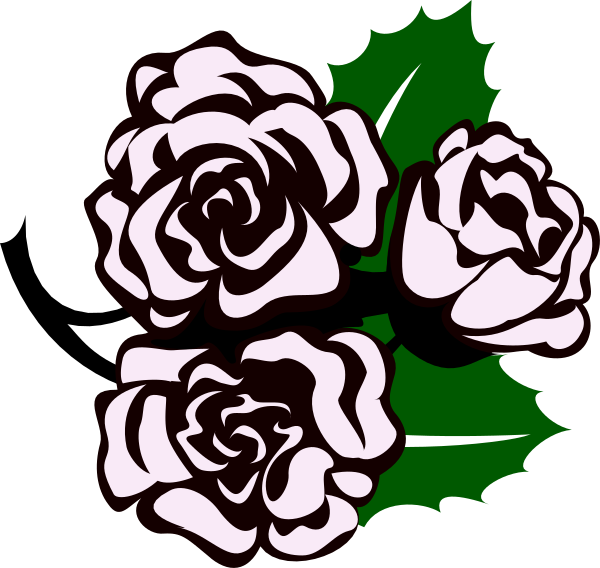 The image shows three white roses with green leaves against a black background.