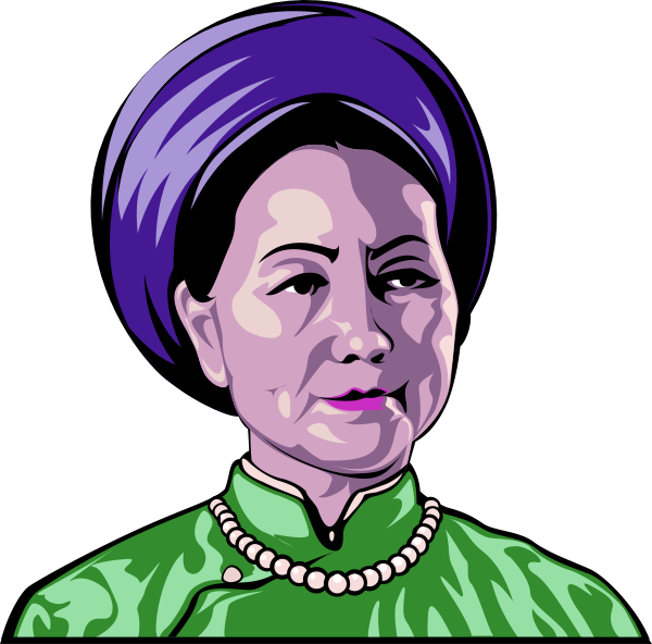 The illustration depicts a woman with dark hair wearing traditional Chinese attire; she is shown from two different angles against contrasting backgrounds: one in purple tones suggesting an evening gown, and another greenish-yellow hue that could represent daytime or formal wear.