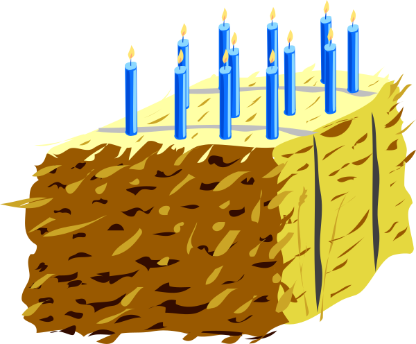 The image shows a cake with candles on it placed next to another similar looking cake without any candles.
