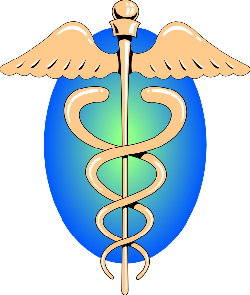 The logo of a medical cross with an intertwined snake around it on top of a shield that has two crossed swords at its center.