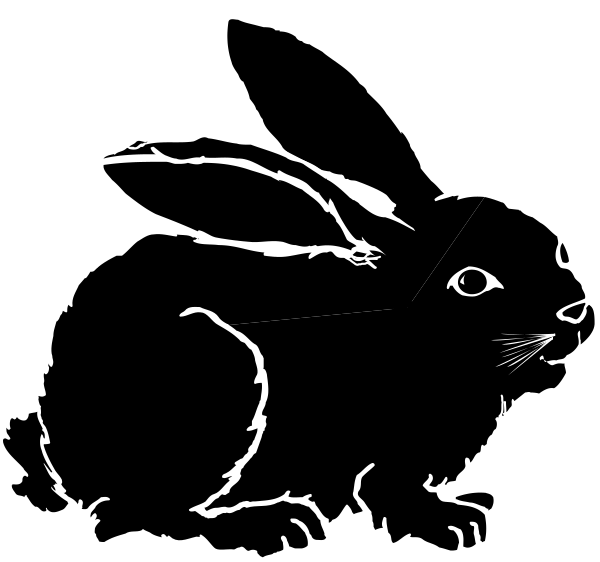 The black and white line drawing shows a rabbit sitting on its hind legs with front paws extended forward as if it's about to hop off into space.