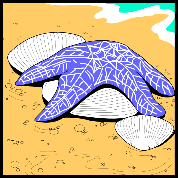 The black shells on a sandy beach next to water with waves crashing against it.