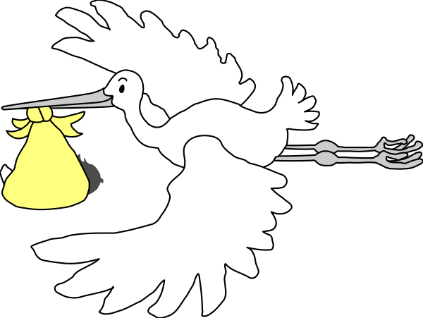 The image shows a cartoon of two birds carrying bags with money on their backs while flying over an ocean scene at nighttime.