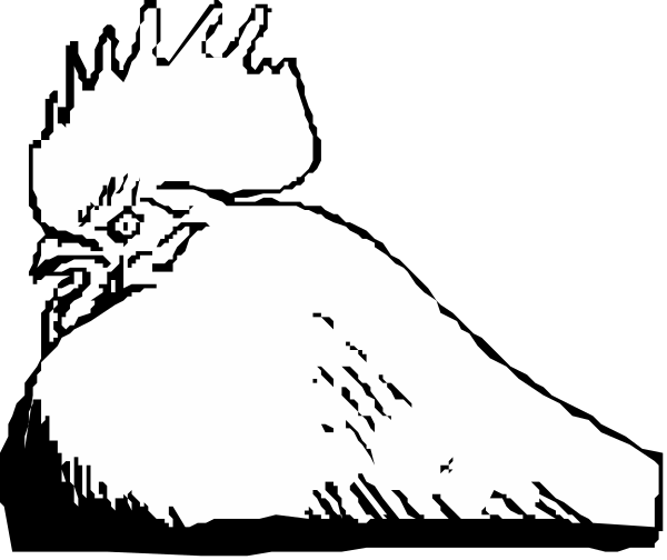 The black and white illustration shows a cartoon of an owl with its wings spread wide above it as if flying over another bird that is lying on the ground below.