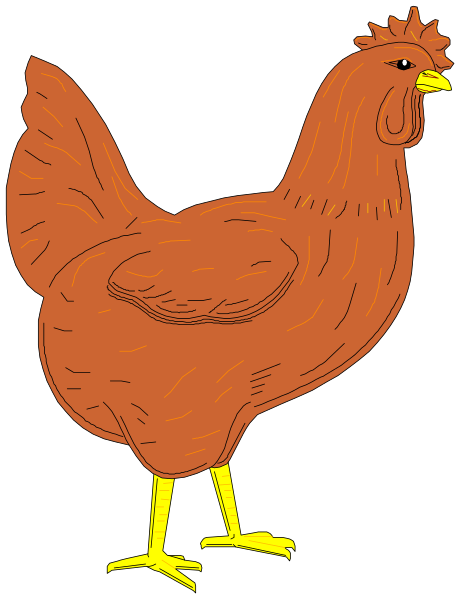 The image shows a cartoon of an orange chicken with yellow feet standing on what appears to be grass against a black background.