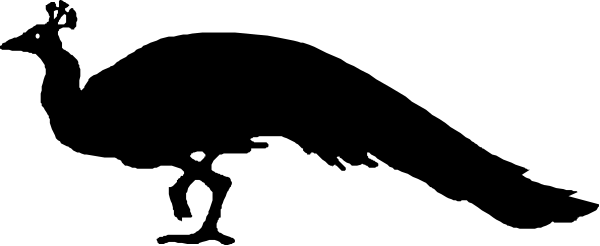 The image shows a black banner with white text that reads "Welcome to our new website."