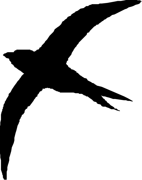 The image shows a black and white striped pattern with no distinguishable content within it.