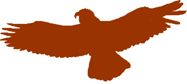 The image shows a red eagle with its wings spread against an orange background on top of what appears to be a gray surface.