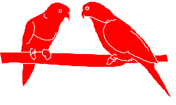 The image shows two parrots perched on a red bar with their beaks touching each other against an orange background.
