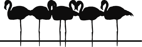 The image shows a black silhouette of several birds flying over an unseen landscape at nighttime with no visible features other than their shapes against a dark background.