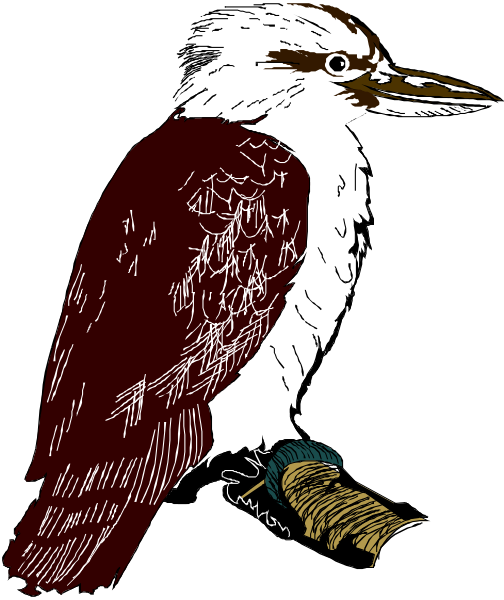 The image shows a stylized illustration of an owl with large eyes perched on what appears to be a branch in silhouette against a dark background; there is also a small fish depicted near its feet, and it has feathers that resemble leaves or foliage around the edges.