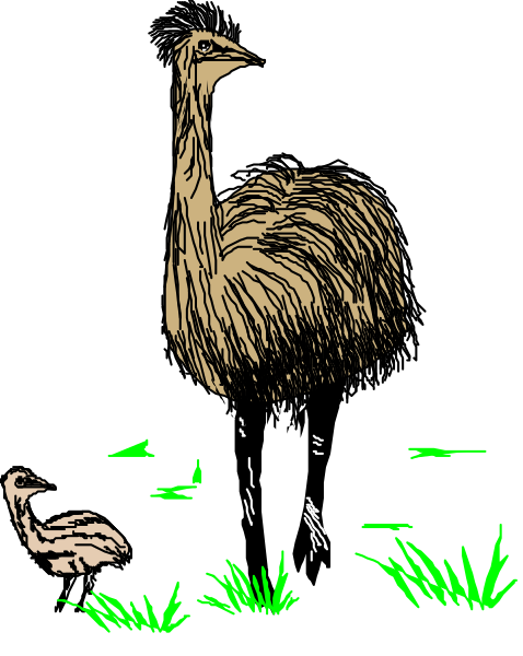 The black and white illustration shows an ostrich standing on a patch of grass with its head turned to look at something off-frame.