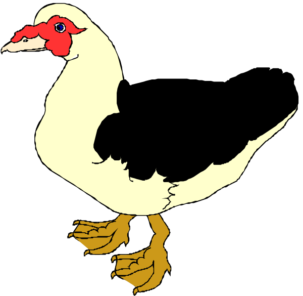 The image shows a cartoon of two ducks with red heads on their bodies; each duck has webbed feet and is standing upright in front of what appears to be an egg-shaped object that resembles another bird, possibly suggesting fertilization or hatching activity between the birds.