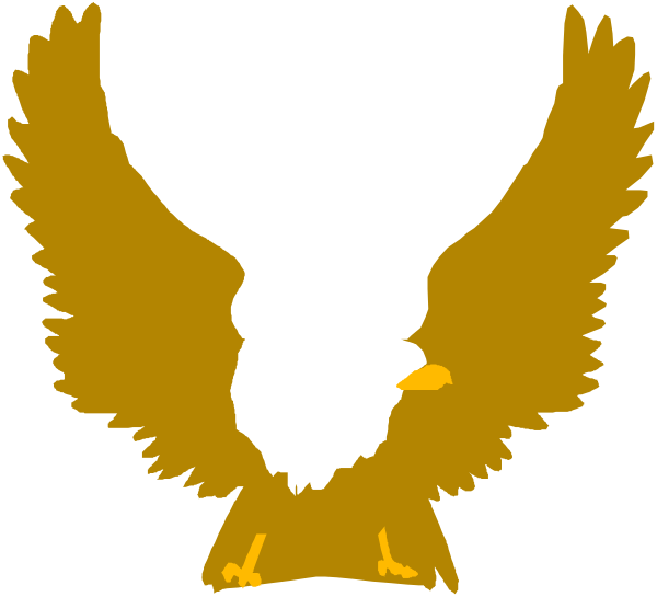 The image shows a stylized graphic of an eagle with its wings spread wide against a black background; it is depicted in white lines on what appears to be a transparent overlay that could represent watermarking, as there's text partially obscured by this design at the bottom right corner.