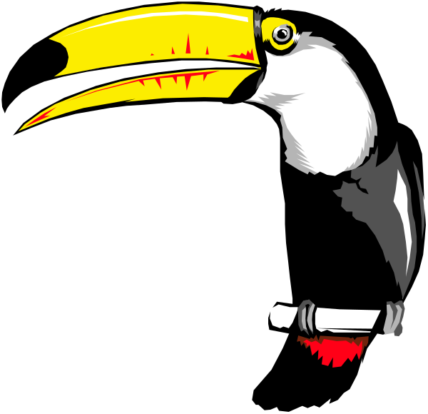 The image features a cartoon depiction of an owl with large eyes looking to its right side against a black background.