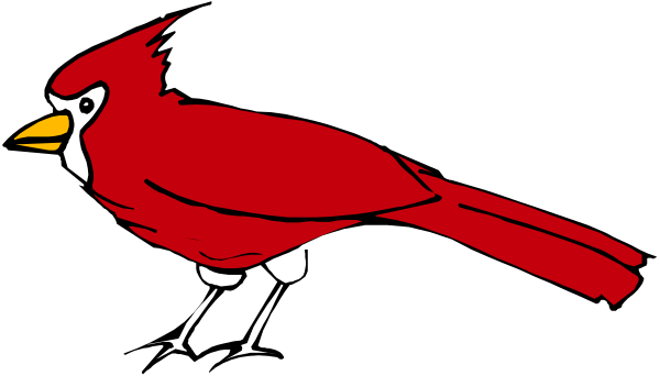 The image shows a cartoon cardinal perched on top of an open book with its wings spread wide against a black background.