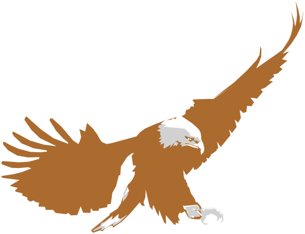 The image shows a graphic of an eagle with its wings spread wide against a black background.