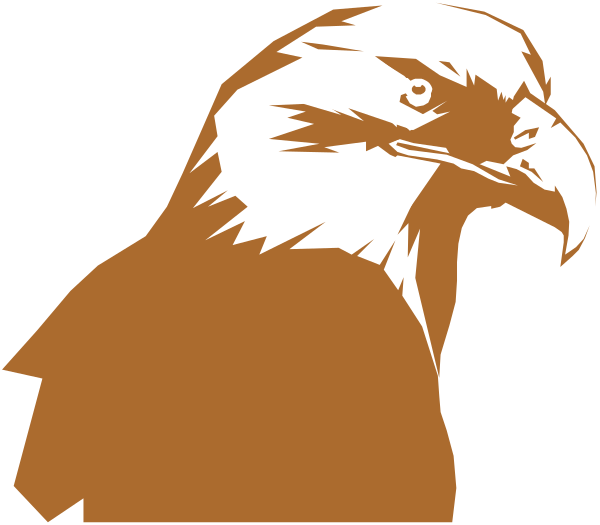 The image shows a graphic of an eagle with its wings spread wide against a dark background.