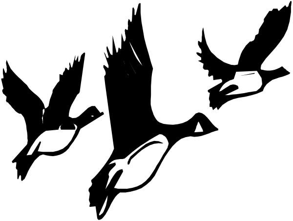 The black and white photo shows a person playing an instrument with their hands on it; however, due to its small size in this clip-art image, specific details about the object being played, the individual's appearance, actions, or setting cannot be confidently determined without more information.