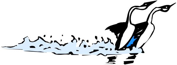 The black and white photo shows a person on water skis being pulled by an unseen boat with blue waves around them in front of a dark background.