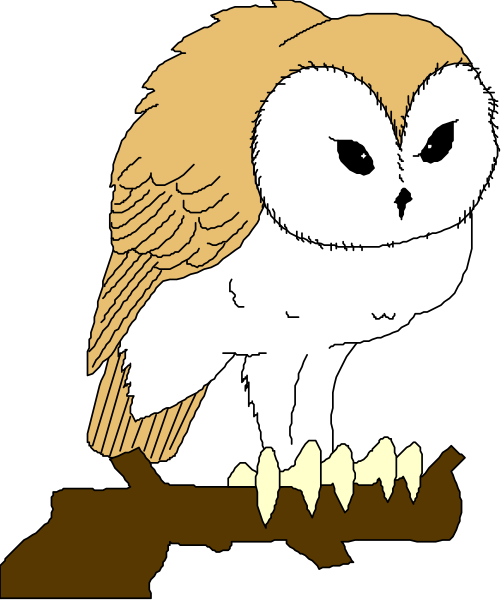 The image shows a cartoon owl sitting on top of an open book with its wings spread wide against a black background.
