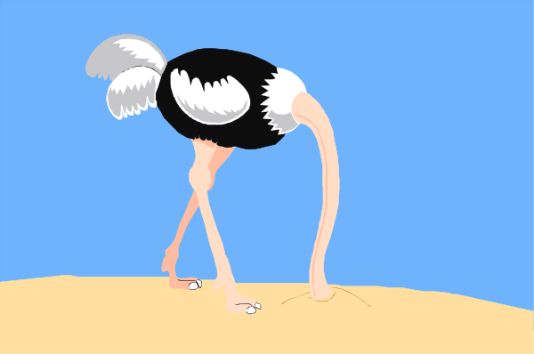 The image shows an ostrich standing on a sandy beach with its head bent down towards what appears to be water at low tide.