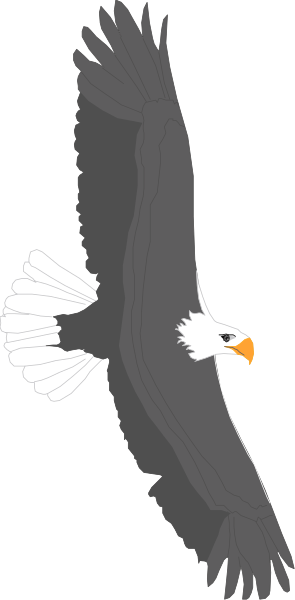 The image shows a cartoon eagle with its wings spread wide against an empty background.