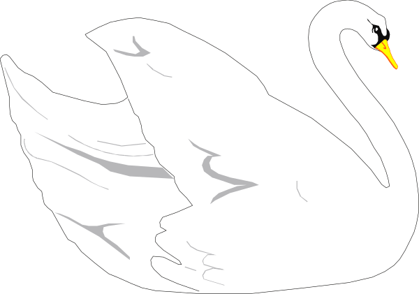The image shows a white swan with its wings spread out against a black background.
