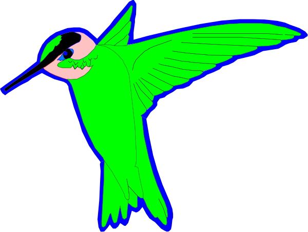 The image shows a blue bird with an orange beak flying against a black background.