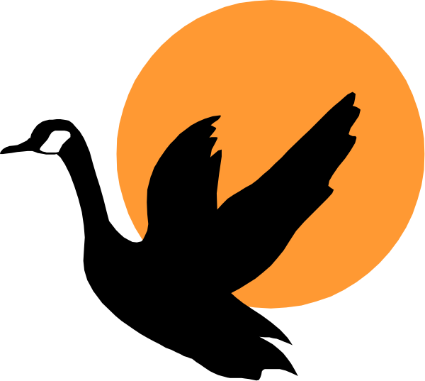 The image shows a stylized graphic of an eagle with its wings spread wide against a backdrop that resembles either sunrise or moonlight on one side and silhouette trees in front of it, all within what appears to be a circular frame.