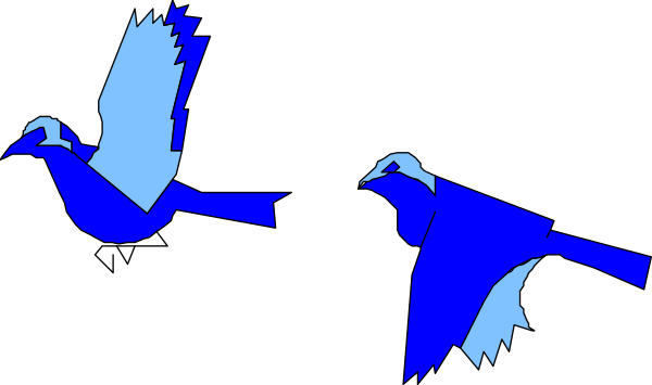 The image shows two birds flying side by side against a dark background with their wings spread wide open.