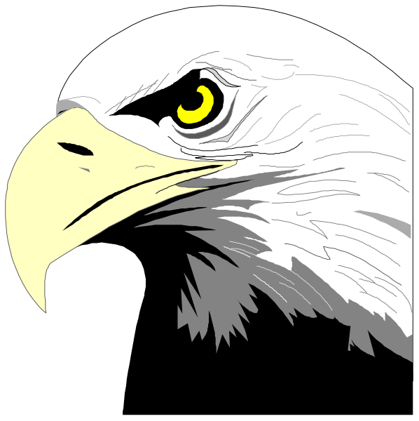 The image shows two different views of an eagle's head against a black background with white outlines.