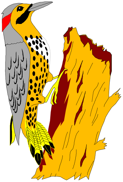 The image features a cartoon bird perched on top of an upright piece of wood with its wings spread wide against a dark background.