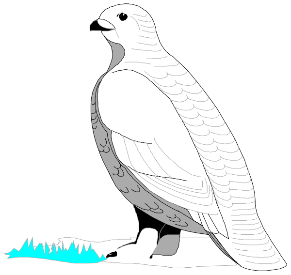 The black and white illustration shows a bird of prey standing on two legs with its wings folded at rest against its body in an outdoor environment that appears to be near water due to the presence of what looks like blue ice patches, possibly indicating cold weather conditions.