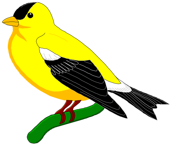 The image shows a cartoon yellow bird with black wings perched on what appears to be an unseen branch against a dark background.