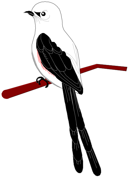 The image shows a cartoon of an owl perched on top of what appears to be a red bar with wings spread out behind it against a black background.