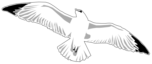 The black and white silhouette of a bird with outstretched wings flying over water.