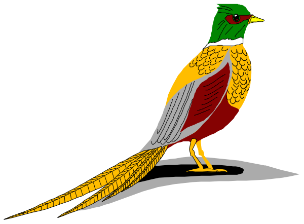 The image shows a colorful parrot with an extended wing perched on what appears to be a branch against a dark background.