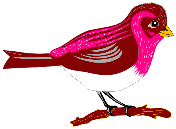 The image shows a cartoon bird with pink feathers on its wings perched next to an arrow pointing upwards.
