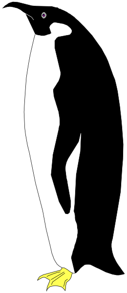 The image shows a penguin standing upright with its feet together on what appears to be an ice surface against a black background.