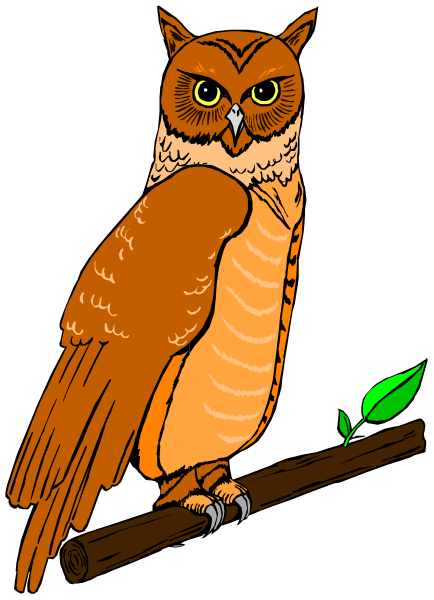 The illustration shows an owl perched on a branch with its wings spread out slightly behind it.