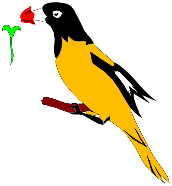 The image shows a colorful illustration of an orange bird with black markings on its wings holding something red between its beak.