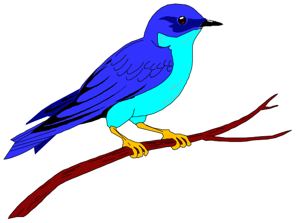 The image shows a blue bird perched on a branch with red leaves against a black background.