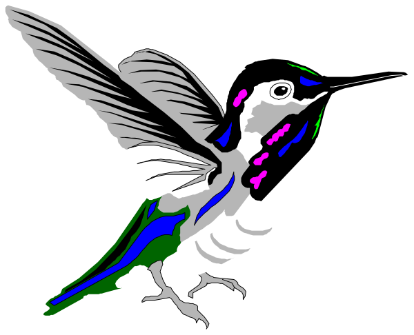 The image shows a hummingbird with an open wing perched on what appears to be a branch against a dark background.