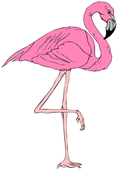 The image shows a pink flamingo standing on two legs with its head turned to look at something off-frame against a black background.