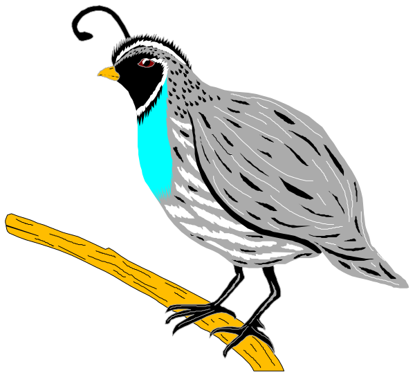 The image shows a cartoon bird with blue markings on its wings perched atop what appears to be an electrical wire against a black background.