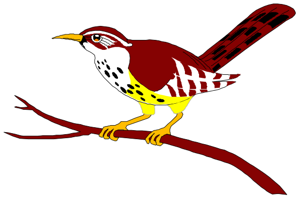 The image shows a colorful bird with red feathers on its wings perched atop what appears to be a branch of an orange tree against a black background.