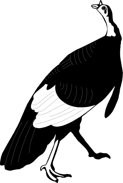 The black and white silhouette of a bird with its beak open against an abstract background.